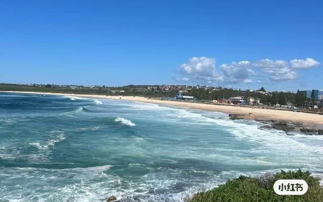 新南T1 房东直租单间 近UNSW. Maroubra 3