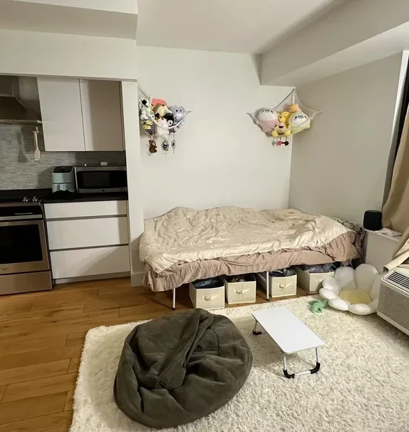 纽约布鲁克林低价大楼studio
