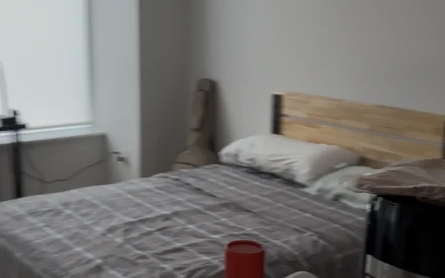 LIC Link Apartments QPN 1b1b客厅出租 4