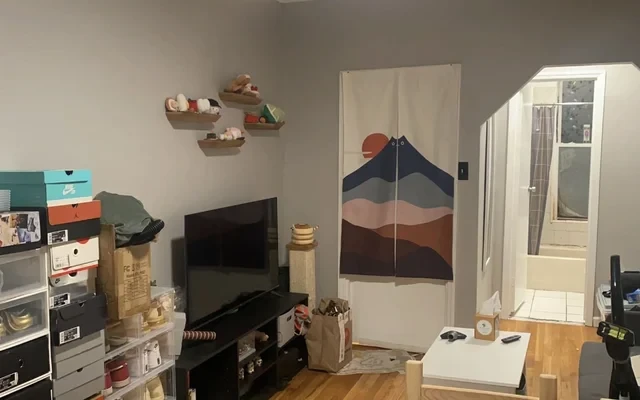 49 Pluski Brooklyn NY 1