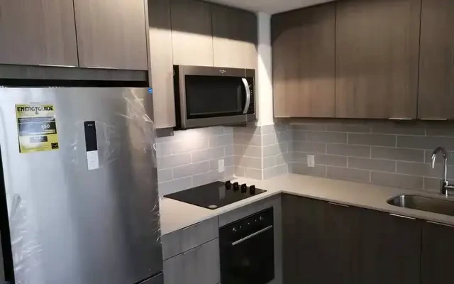 多伦多北约克，forest manor 3