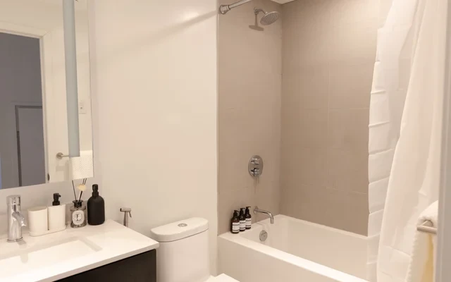 Bmo field & lakeview condo 3