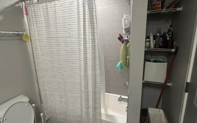 S. Lincoln Ave Apartment—CLOSE TO CAMPUS - Urbana student accommodation - S. Lincoln Ave Apartment—CLOSE TO CAMPUS