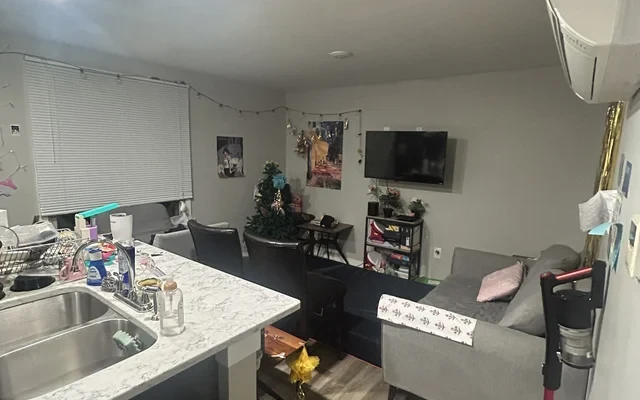 S. Lincoln Ave Apartment—CLOSE TO CAMPUS - Urbana student accommodation - S. Lincoln Ave Apartment—CLOSE TO CAMPUS