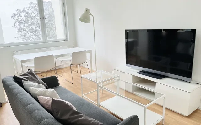 柏林工业大学TU旁43平单人公寓 0