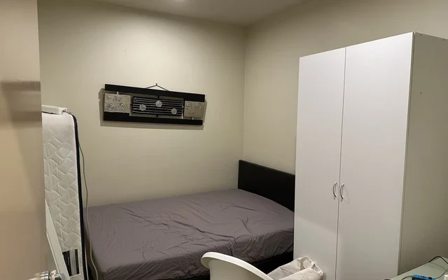 233 collins 0