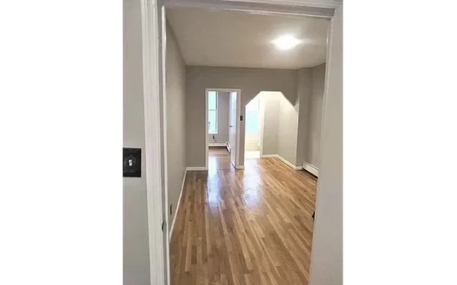 49 Pluski Brooklyn NY 2