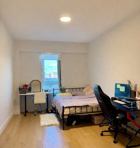 波士顿Allston 2b2b超大主卧