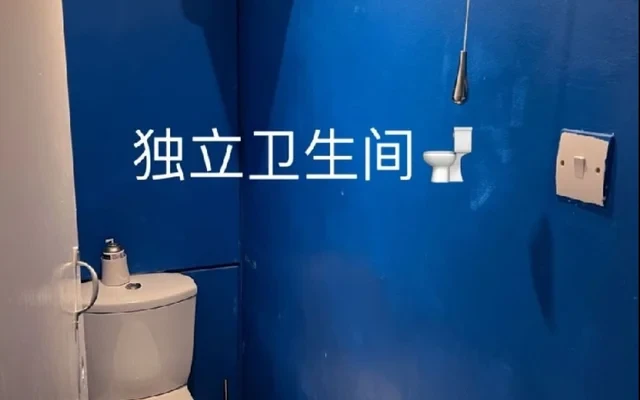 西北伦敦hendon出租啦 3