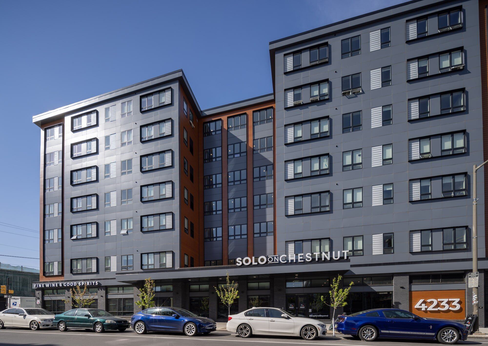 SOLO on Chestnut- 4233