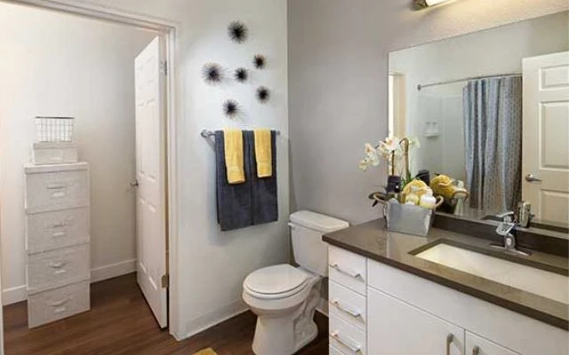 2B2B Apartment near San Jose State University 3