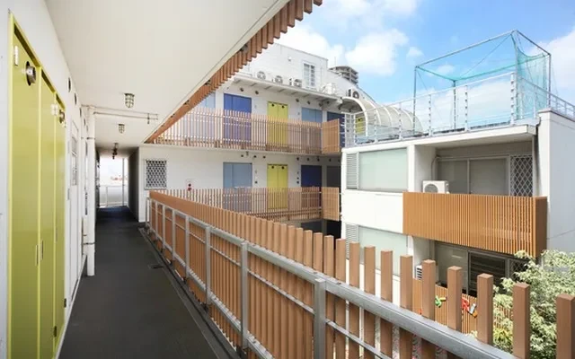 ステラコートショウナンダイ 0
