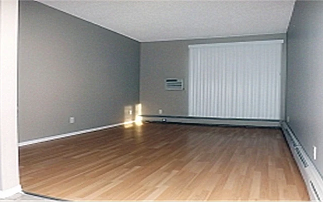 Park Manor 0