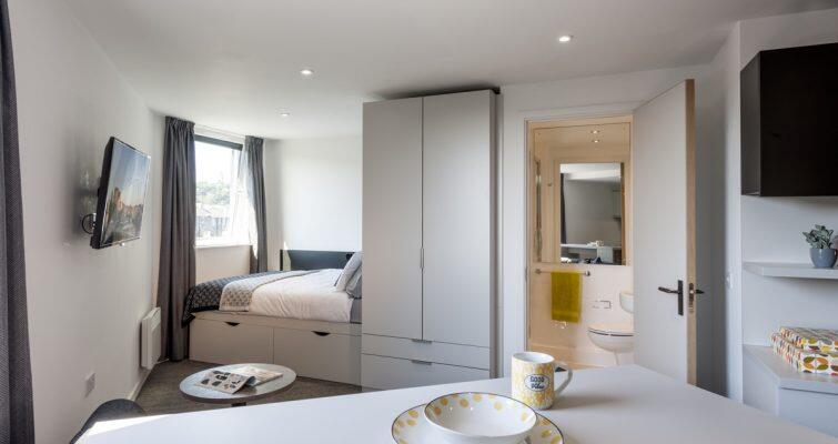 Studio Apartment Platinum