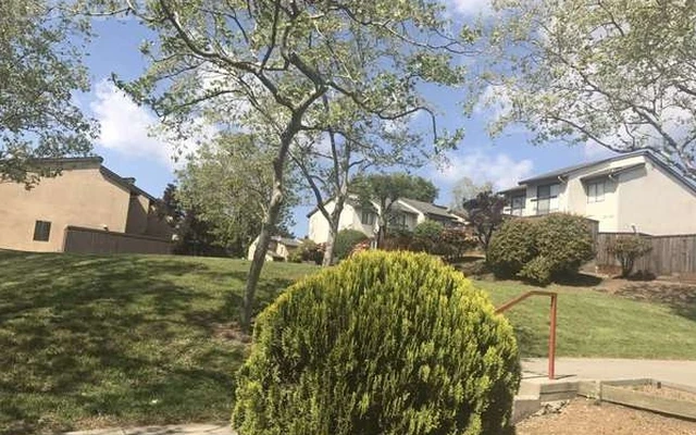 1B1B apartment near the Mills College 4