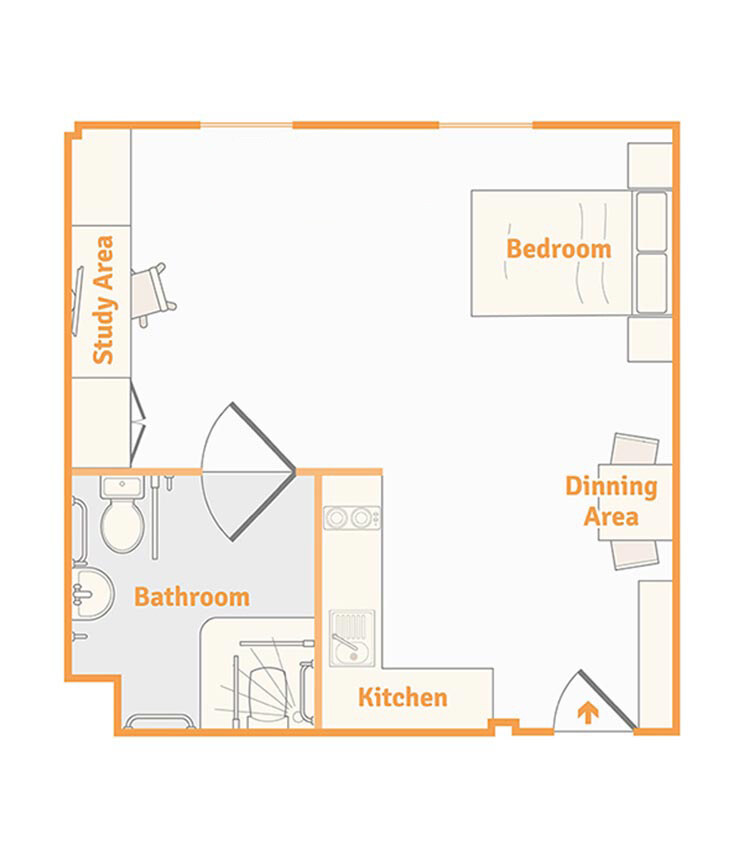 Platinum Plus Studio