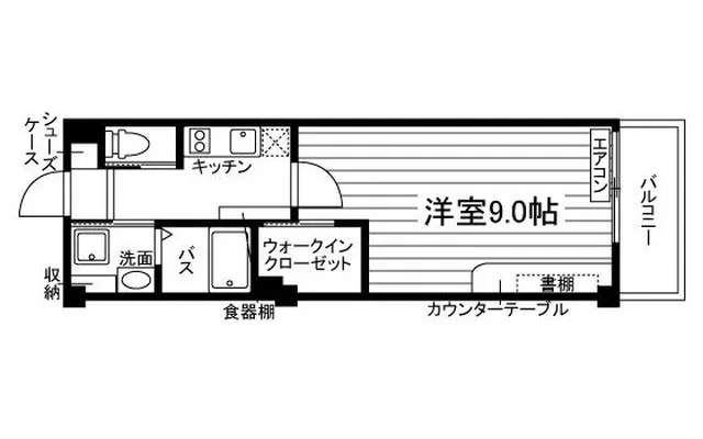 カショウエクシートツー 0