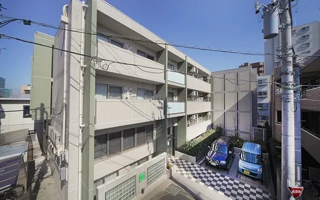 オーガスタワコウ 0